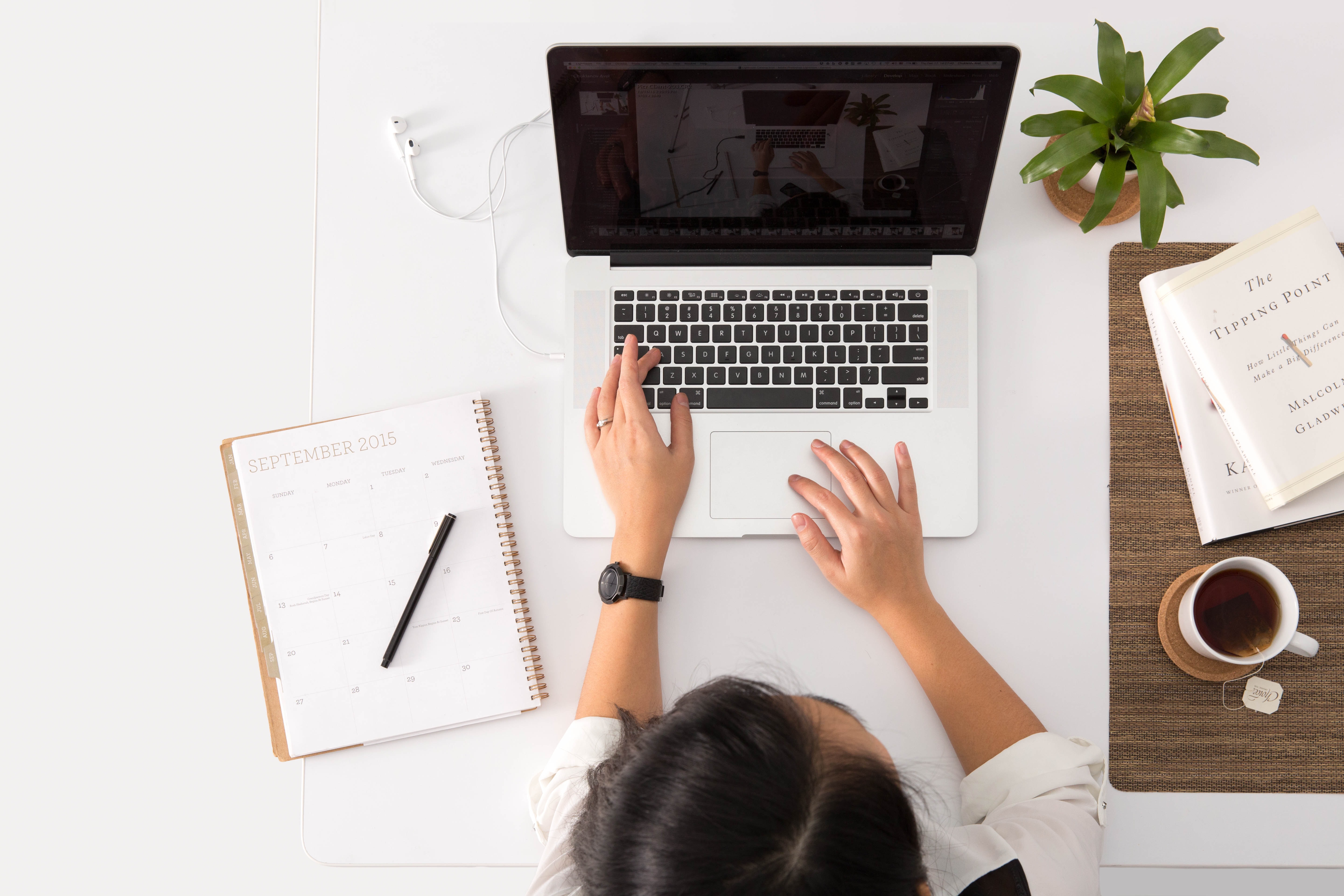 Web Development